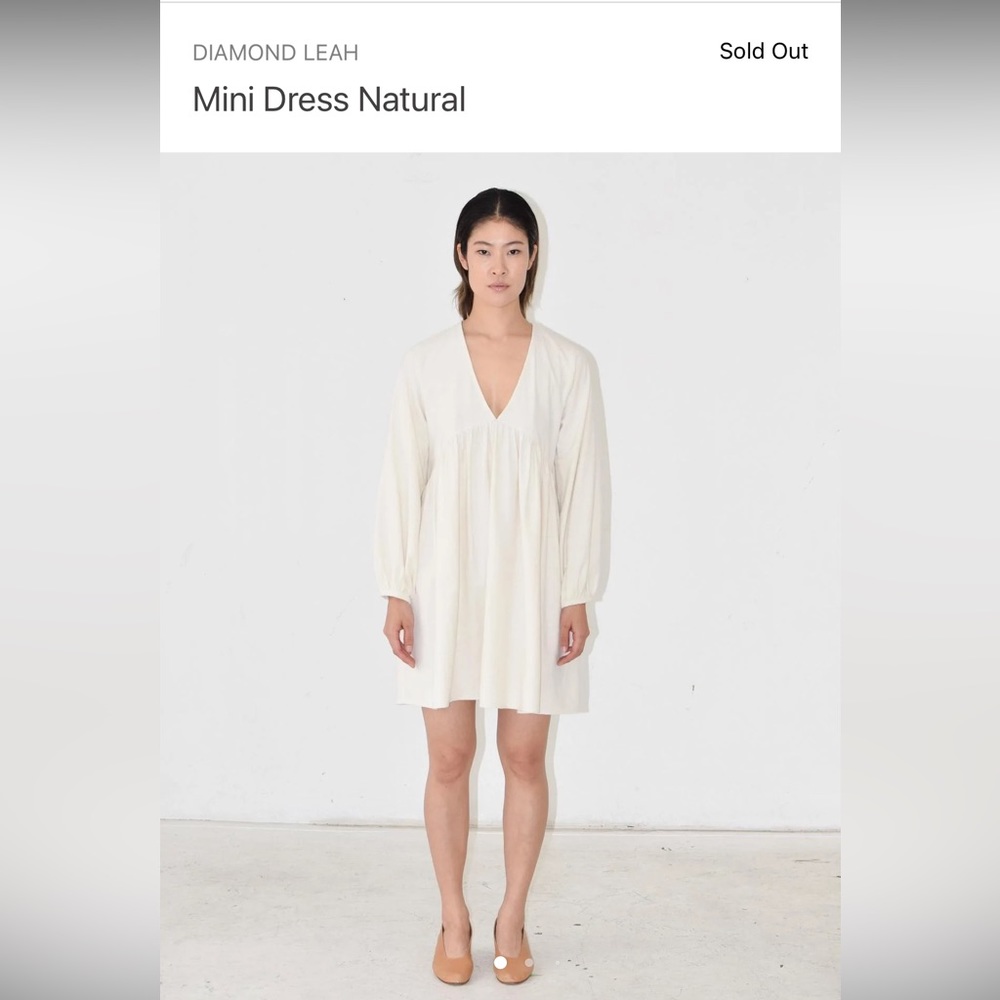 UPDATED PRICE: Diamond Leah Raw Silk Mini Dress